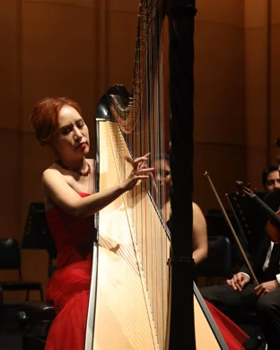 Metropolitan Youth Orchestra of New York New York