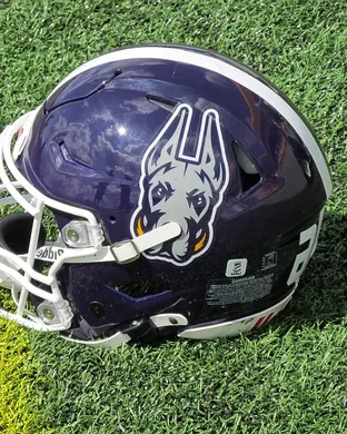 Ualbany Great Danes Football Stony Brook