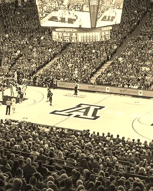 Arizona Wildcats Basketball New York