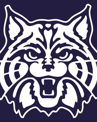 Arizona Wildcats New York