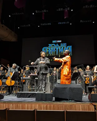 Black Panther In Concert Bronx