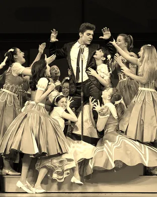Bye Bye Birdie  Spring Lake