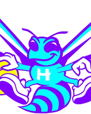 Charlotte Hornets Charlotte