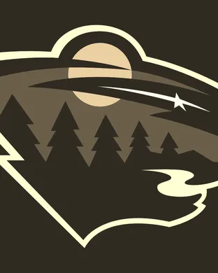 Minnesota Wild Saint Paul