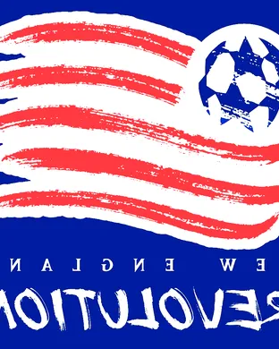 New England Revolution Flushing