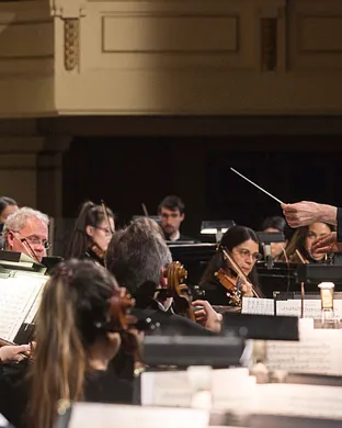 New Haven Symphony Orchestra Fairfield