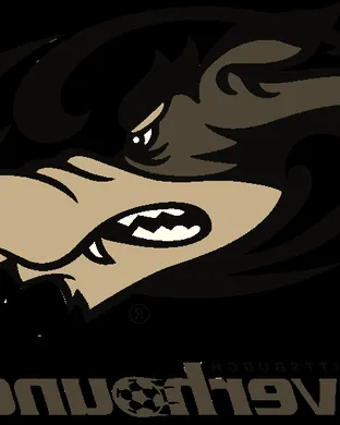 Pittsburgh Riverhounds Sc Brooklyn