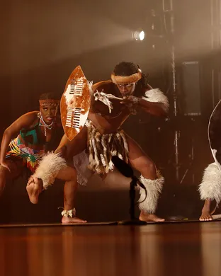 Step Afrika New York