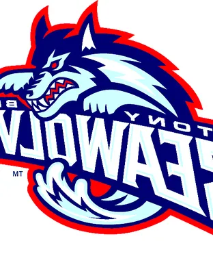 Stony Brook Seawolves Football Dover