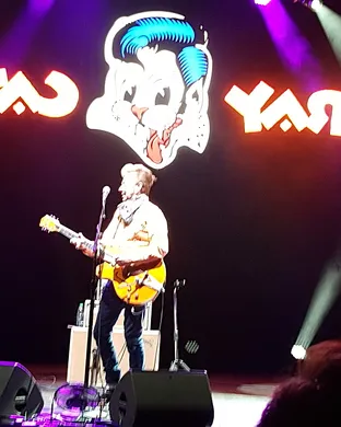 Stray Cats Morristown