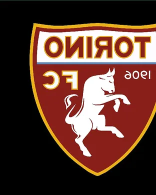 Torino Fc Torino
