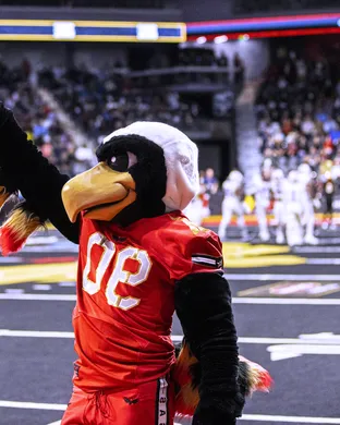 Vegas Knight Hawks East Rutherford