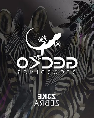 Zebra Patchogue