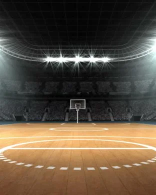 LSU Tigers Women's Basketball Baton Rouge