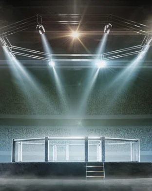 Ragin Fighting Championship