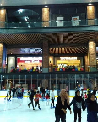 Stars On Ice Elmont