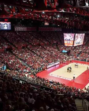 Northwestern Wildcats Women's Volleyball Evanston