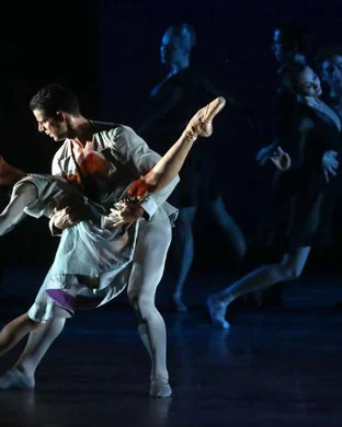 Swan Lake - Symphony of Lights Brooklyn