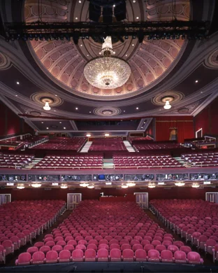 Paddington - The Musical New York
