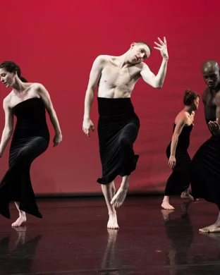 DanceAfrica Brooklyn