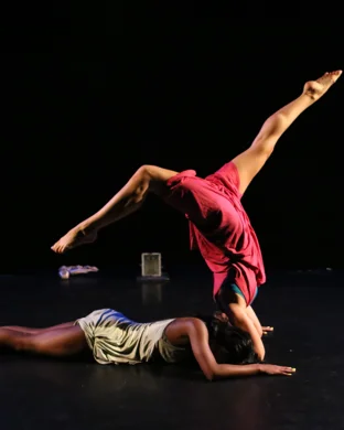 Gravity and Other Myths Stony Brook